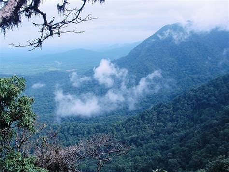 Agumbe | Sightseeing Agumbe | Waterfalls Agumbe