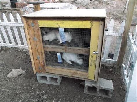 Rabbit Hutches Made from Pallets | Pallet Wood Projects