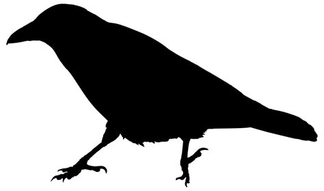 Raven Clip Art Transparent File - PNG Play