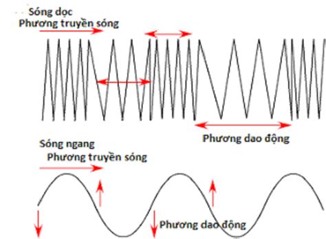 Sóng Cơ Là Gì ? Phân Loại Sóng Cơ ? Công Thức Tính Bước Sóng Cơ