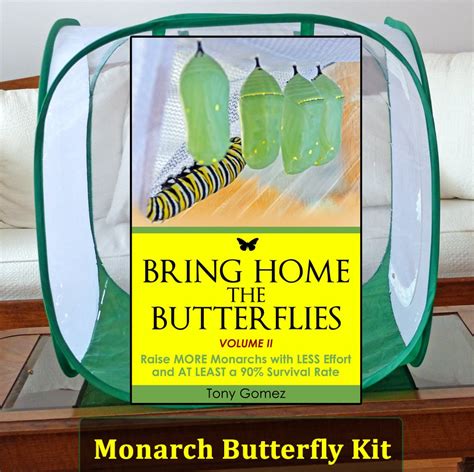 Monarch Butterfly Kit- Kits to Raise Monarch Butterflies