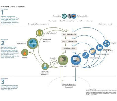 Circular Economy 101: Designing regeneration into the system