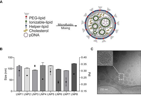 Synthesis and characterization of lipid nanoparticles (LNPs) for pDNA ...