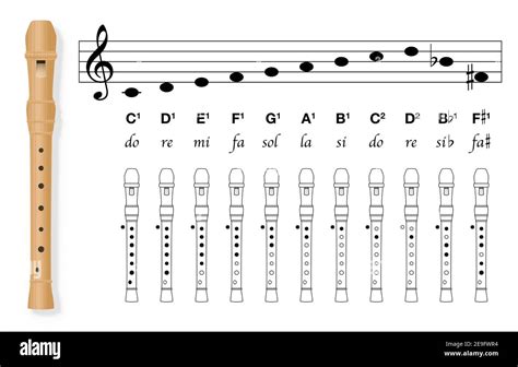 Tenor Recorder Finger Chart Printable