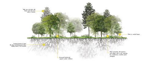 Landscape Design for Carbon Sequestration | ASLA 2020 Student Awards