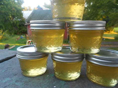 Silly Goose Farm: Corn Cob Jelly