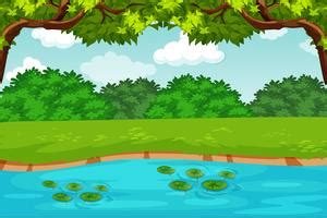 Cartoon Ponds