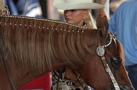 Very flattering way to braid a medium length mane! That's a row of ultra-thin bands at the top ...