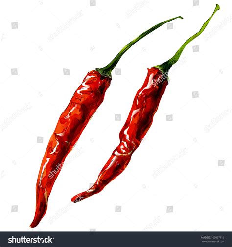 Chili Pepper Watercolor Painting On White Stock Illustration 109967816 | Shutterstock