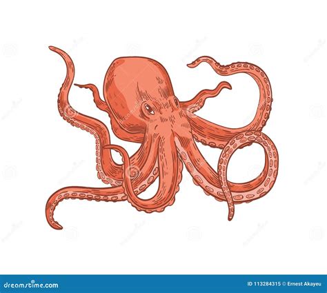 Octopus (Kraken) Cartoon Vector | CartoonDealer.com #27836053