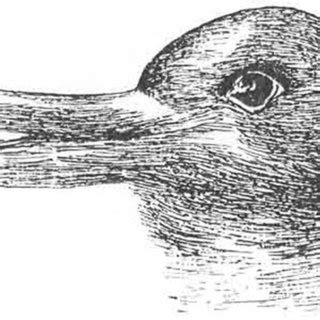 Duck-rabbit illusion. Source Jastrow (1899) | Download Scientific Diagram