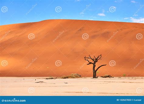 Namibian desert landscape stock image. Image of tourism - 132627833