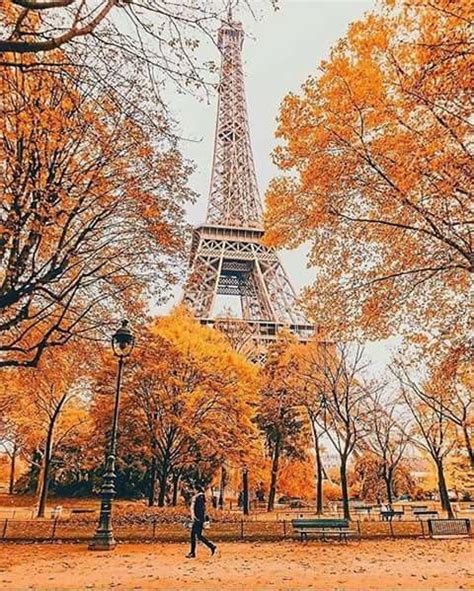 Otoño en París, Francia. | Autumn scenery, Travel aesthetic, Autumn photography