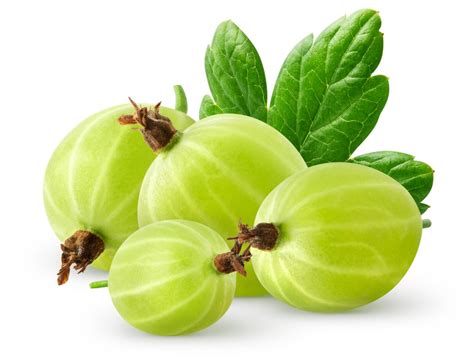 What Are Gooseberries? | Exotic Gourmand