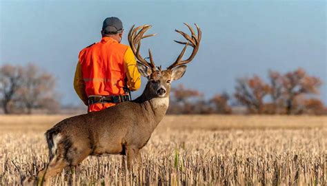 2024 Kansas Hunting Season Dates & Bags Guide!