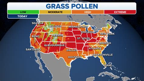 Allergy sufferers, you might be cleaning your house all wrong | Fox Weather