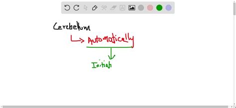 ⏩SOLVED:Explain the role played by the crossed-extensor reflex in… | Numerade