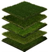 Artificial Grass