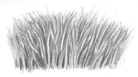 How to Draw Realistic Grass That's Ready to Be Seen - Let's Draw Today