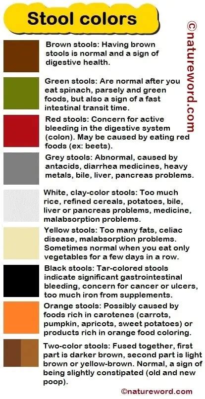 Possible Causes Of Light Colored Stool | Americanwarmoms.org