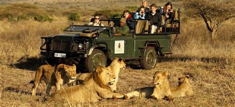 A sneak peek into Africa's KwaZulu-Natal through a safari | Options, The Edge