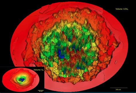 Naplife: Nanotechnology with a perspective on nuclear fusion