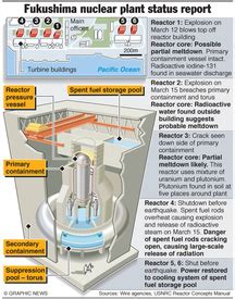 JAPAN: Fukushima disaster timeline (1) infographic