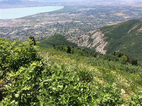 The Best Hiking Trails In Provo, UT - Bountiful Mazda Blog