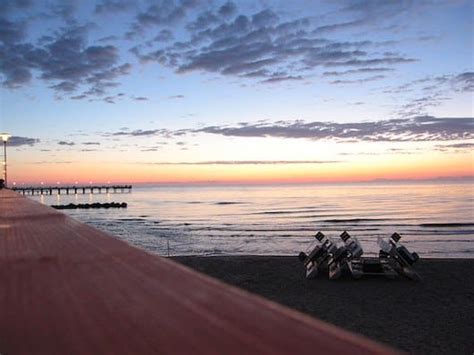 Palanga: Pier, Botanical Garden, Park Paths - Great Runs