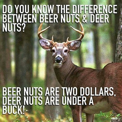 Hahaha, good call | Funny deer, Funny animal pictures, Hunting humor