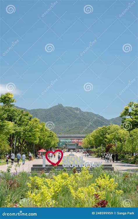 Seoul Grand Park in Gwacheon, Korea Editorial Stock Image - Image of asia, rest: 248599959