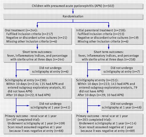 Antibiotic treatment for pyelonephritis in children: multicentre randomised controlled non ...