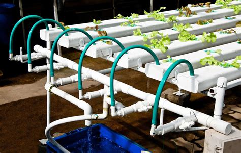 Best Hydroponic Kits for Home Gardeners (2019 Update)