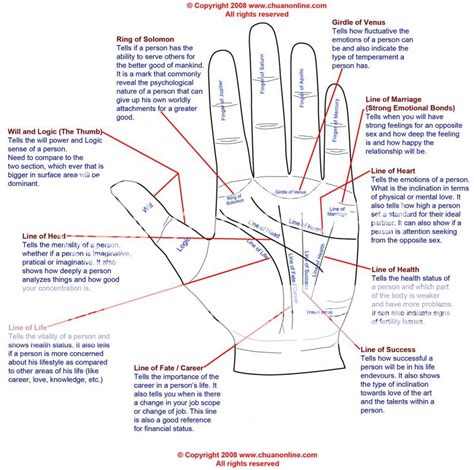 Uncover Palmistry Lines Meaning Now Easily!: Uncover Palmistry Lines Meaning Easily Now!