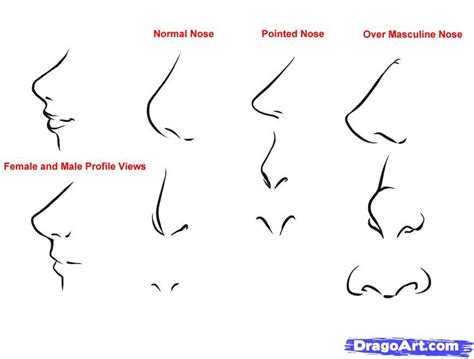 How to Draw Anime noses and mouths | how to draw anime noses step 1 | Nose drawing, Anime ...