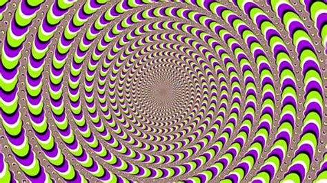 brain - How do humans know what goes on in optical illusions? - Biology ...