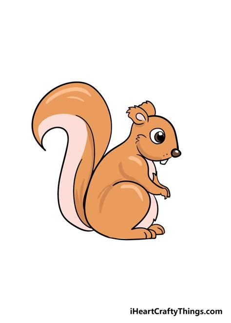 Squirrel Drawing - How To Draw A Squirrel Step By Step