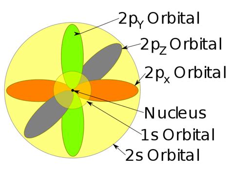 Diagramma Image Modelo Atomico De Schrodinger Caracteristicas ...