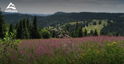 10 Best trails and hikes in Feldberg | AllTrails