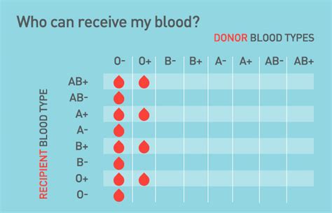 Type O Blood: O+ and O- Blood Types - Bloodworks Northwest