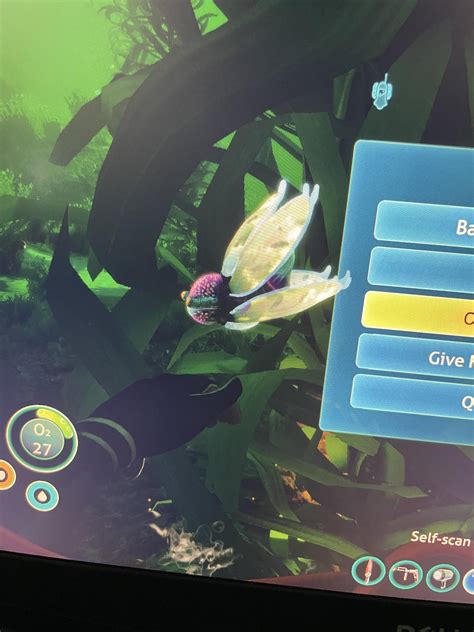 what is this? : r/subnautica