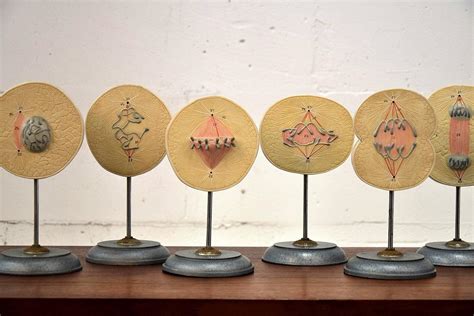 1960s Complete Set of Mitosis / Cell Division Models For Sale at 1stdibs