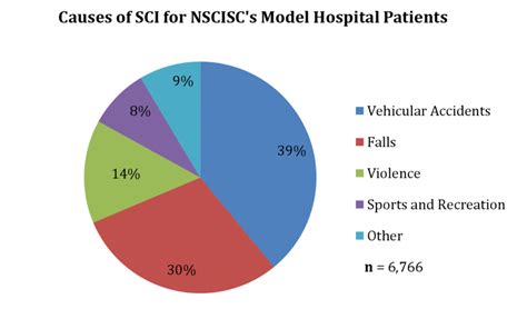 Causes of Spinal Cord Injury for patients admitted with SCI in 28... | Download Scientific Diagram