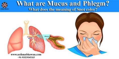 What are Mucus and Phlegm? Meaning of Snot Color