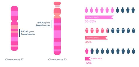 Clinical Diagnostics – Macrogen