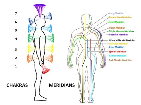 Chakras & Meridians | Limitless Living