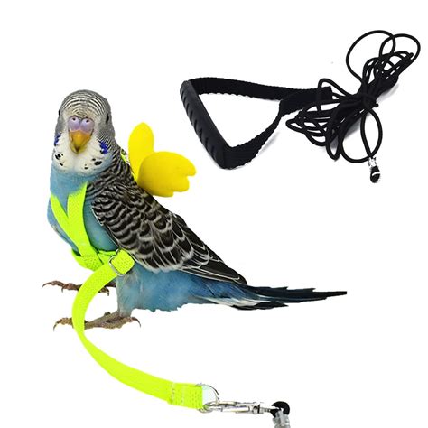 Buy Parrot Bird Harness and Leash Adjustable Bird Harness Leash Outdoor Flying Kit Training Rope ...