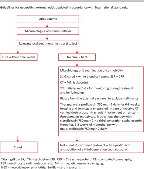 Figure 1 from Optimised diagnosis and treatment of necrotizing external ...