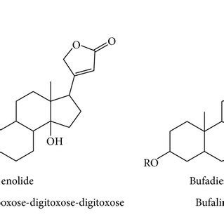 Chemical structure of cardiac glycosides. The basic skeletons of... | Download Scientific Diagram