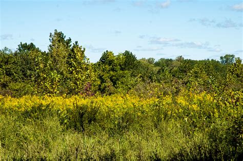 Fairbanks Landing Fish & Wildlife Area - September 13, 201… | Flickr